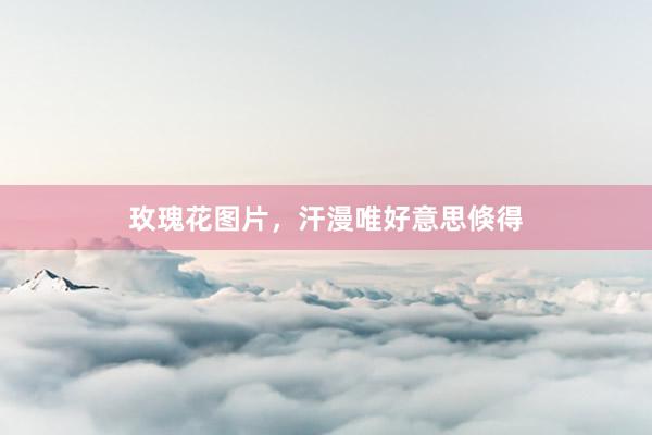 玫瑰花图片，汗漫唯好意思倏得